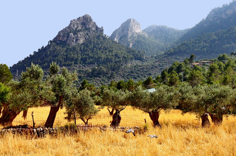 ������������ �� �������. ����� � ������. ���� �� ����.