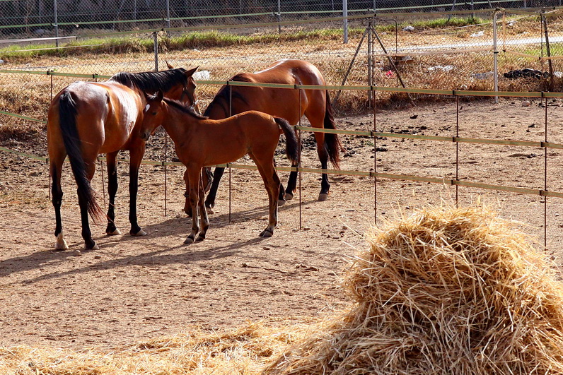 ������������ �� �������. ����� � ������. ���� �� ����.