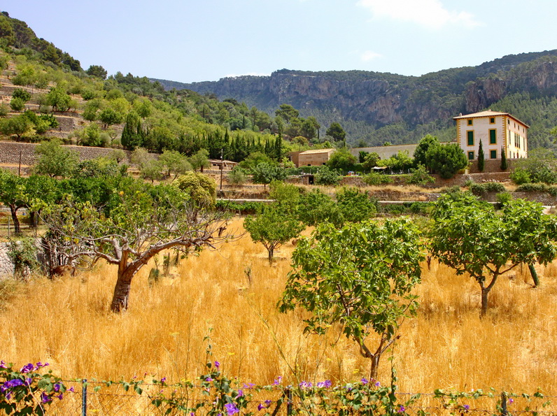 ������������ �� �������. ����� � ������. ���� �� ����.